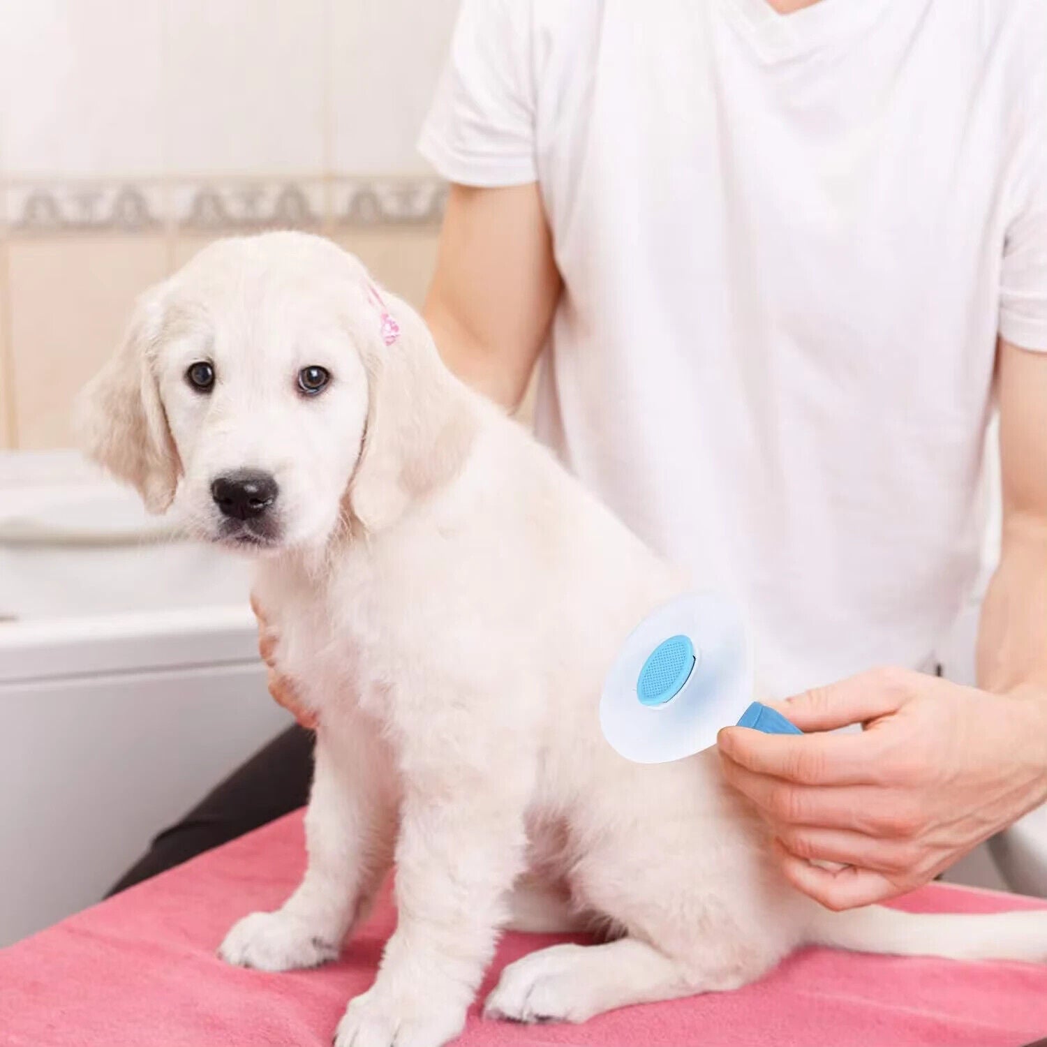 Hair Remover Pet Brush for Dog Cat Grooming Tool Self Cleaning Slicker Comb NEW