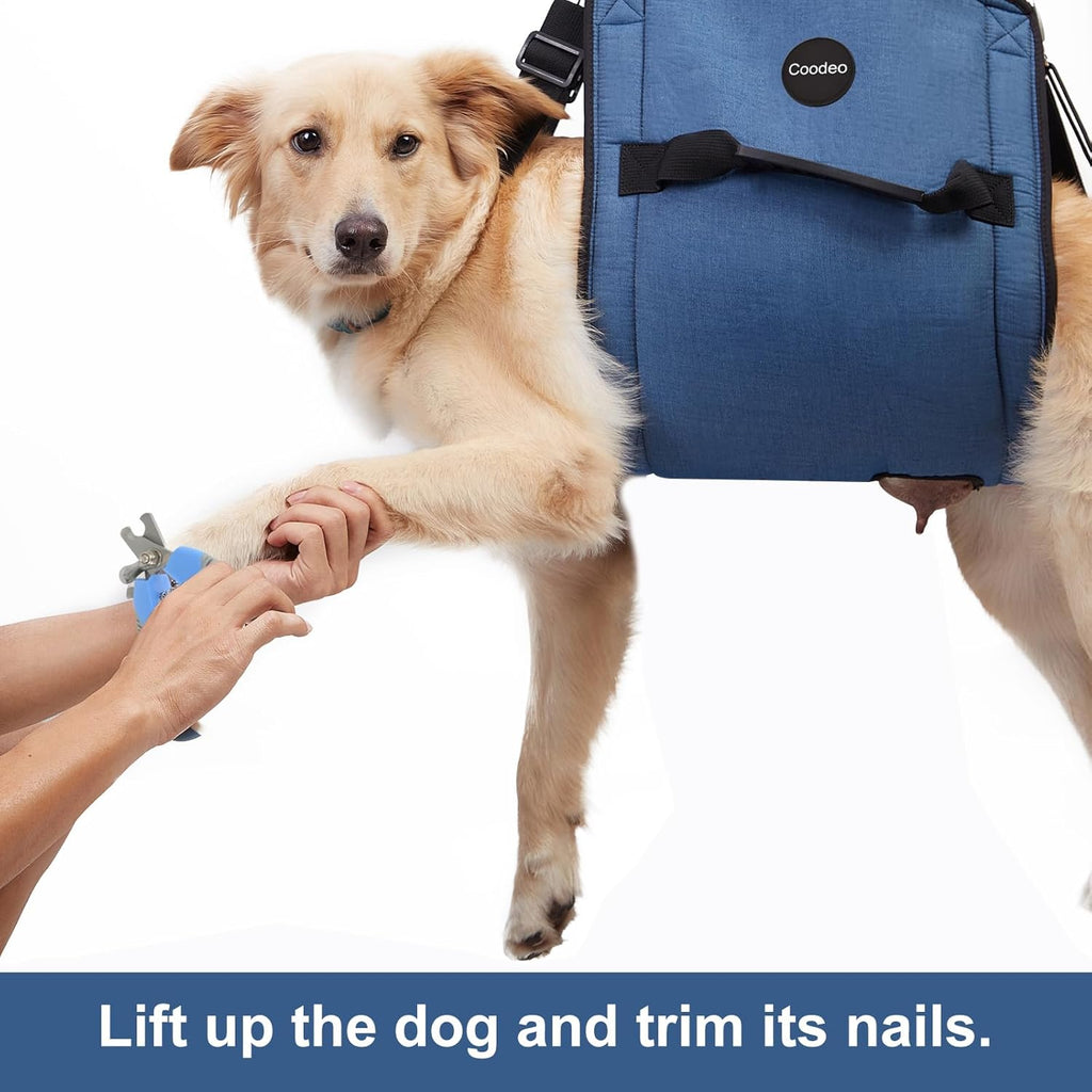 Carry Sling, Emergency Backpack Pet Legs Support & Rehabilitation Lift Harness for Nail Trimming, Carrier for Senior Dogs with Joint Injuries, Arthritis, up and down Stairs(Xxl, Blue)