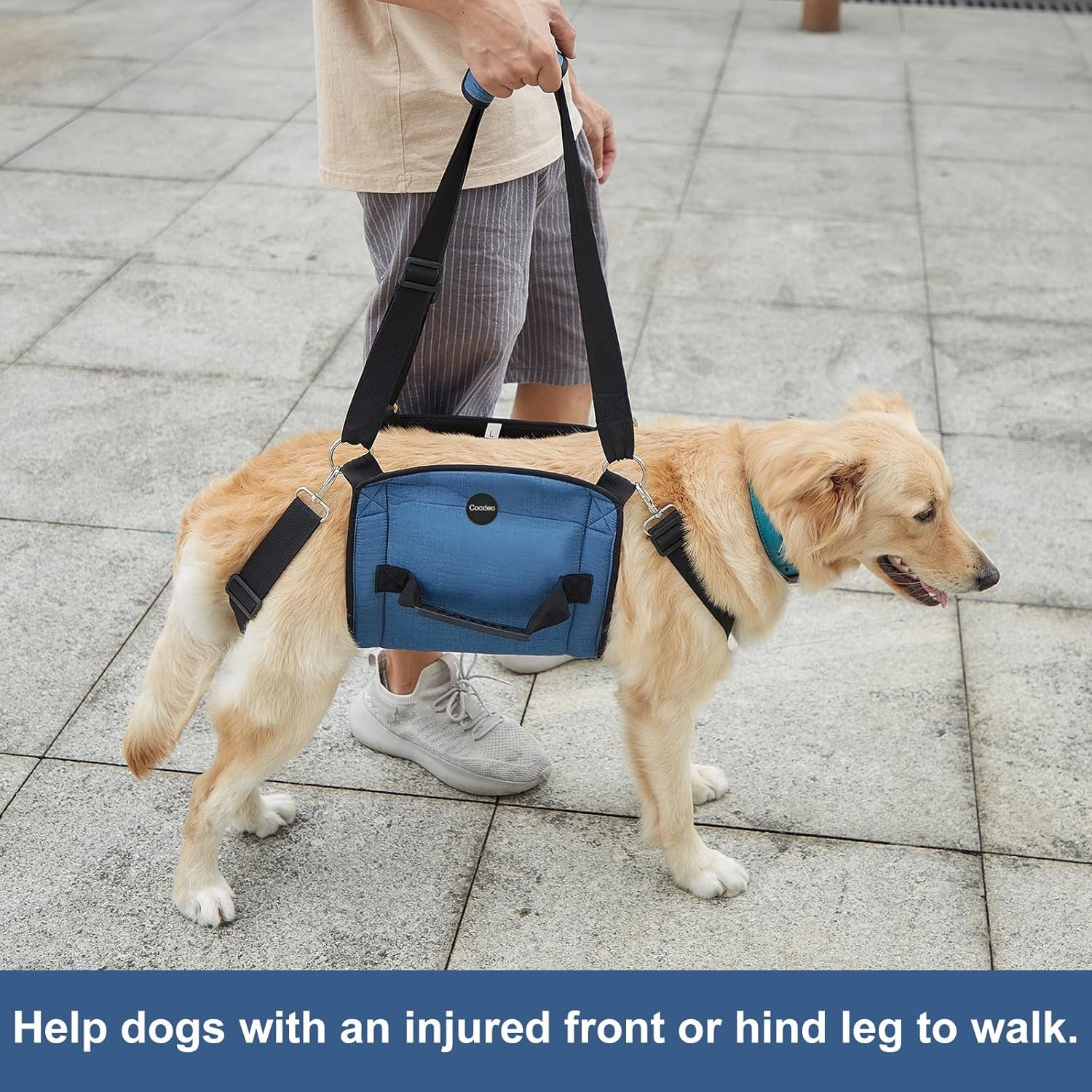 Carry Sling, Emergency Backpack Pet Legs Support & Rehabilitation Lift Harness for Nail Trimming, Carrier for Senior Dogs with Joint Injuries, Arthritis, up and down Stairs(Xxl, Blue)