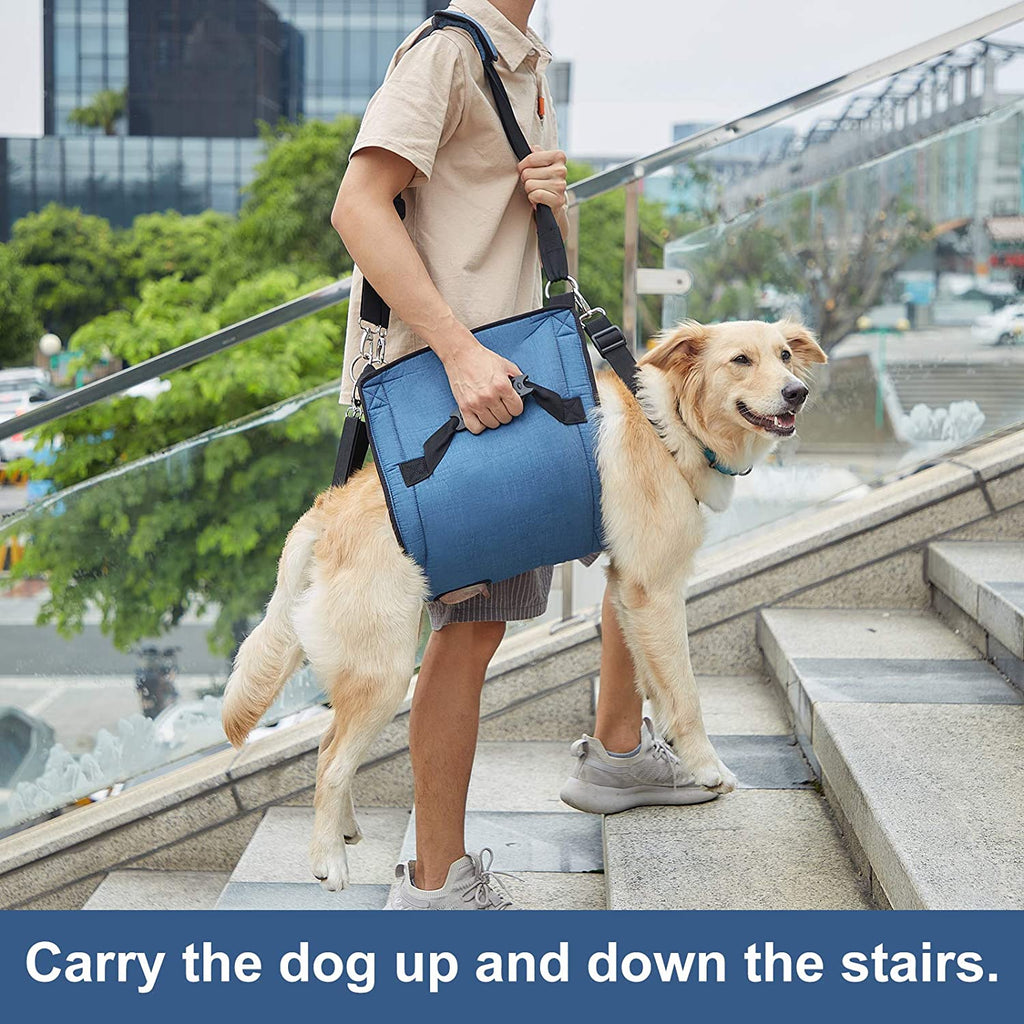 Carry Sling, Emergency Backpack Pet Legs Support & Rehabilitation Lift Harness for Nail Trimming, Carrier for Senior Dogs with Joint Injuries, Arthritis, up and down Stairs(Xxl, Blue)