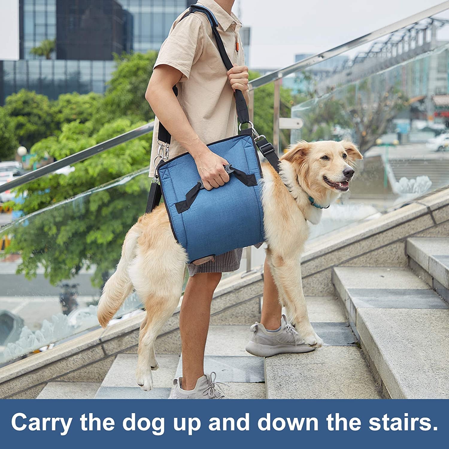 Carry Sling, Emergency Backpack Pet Legs Support & Rehabilitation Lift Harness for Nail Trimming, Carrier for Senior Dogs with Joint Injuries, Arthritis, up and down Stairs(Xxl, Blue)
