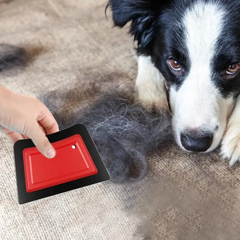 Mini Pet Hair Detailer Brush — Removes Pet Hair from Cars, Sofas & Carpets