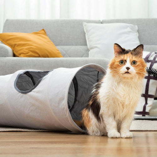 Collapsible Cat Tunnel Toy — 114 cm, 2 Observation Windows, Indoor & Outdoor