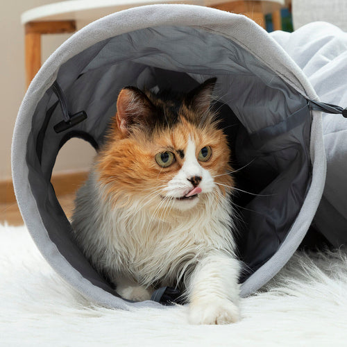 Collapsible Cat Tunnel Toy — 114 cm, 2 Observation Windows, Indoor & Outdoor