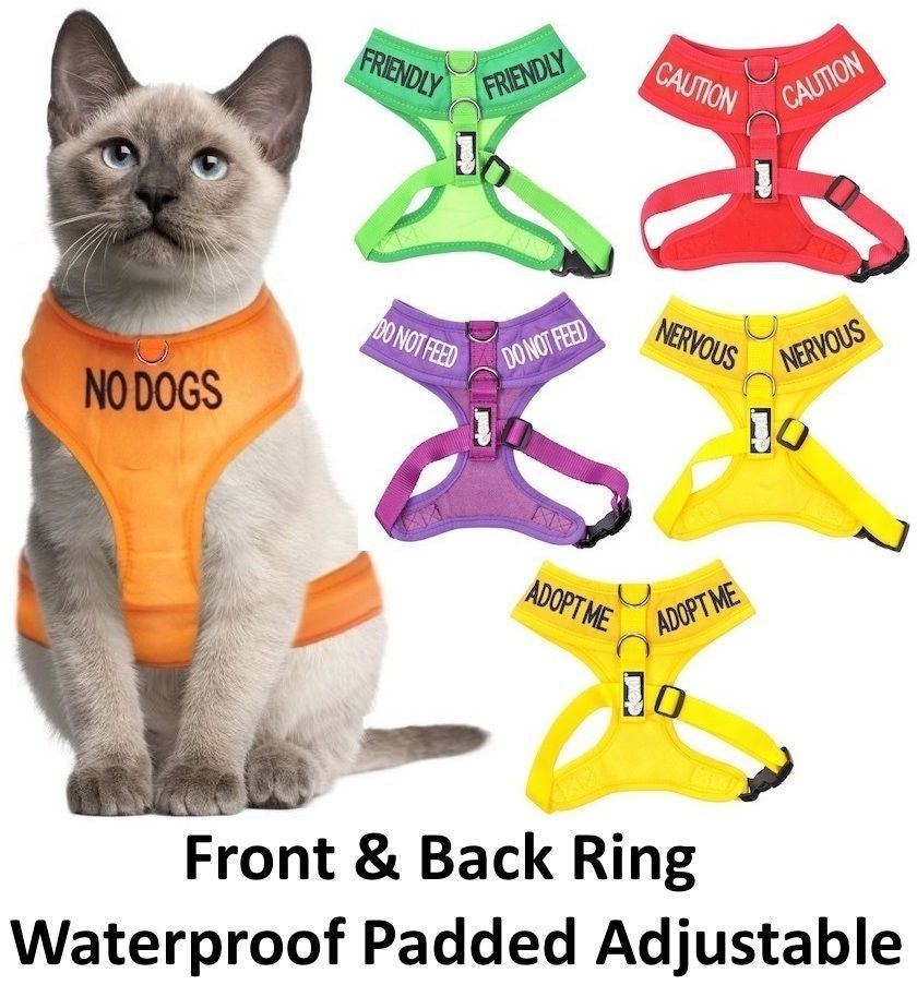 Cat Harness Pink Black Blue Yellow Red Waterproof Padded Adjustable S M L EX L
