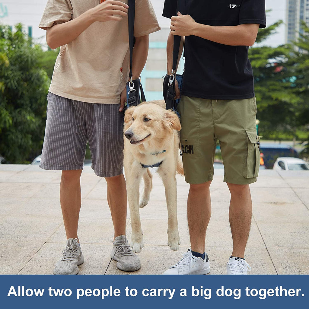 Carry Sling, Emergency Backpack Pet Legs Support & Rehabilitation Lift Harness for Nail Trimming, Carrier for Senior Dogs with Joint Injuries, Arthritis, up and down Stairs(Xxl, Blue)
